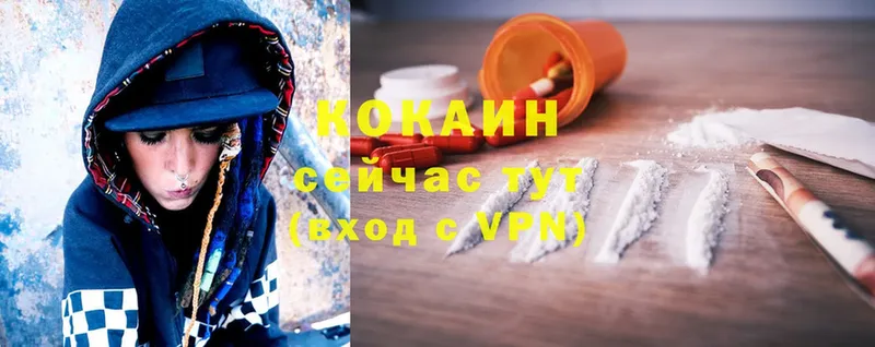 COCAIN Эквадор  Каргополь 